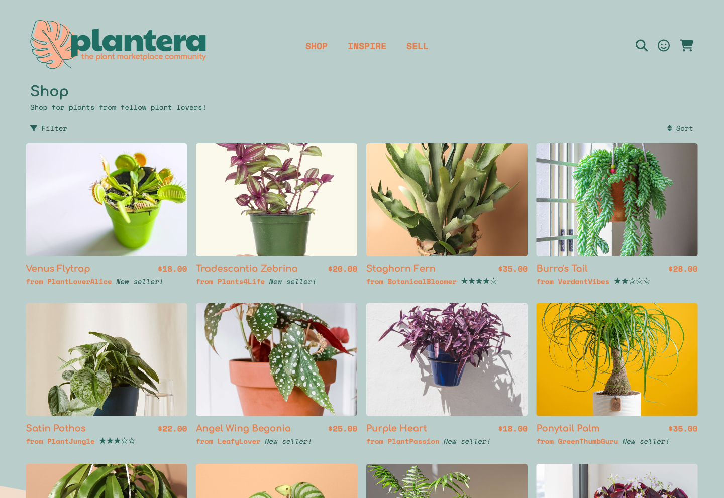 Plantera-cover-image